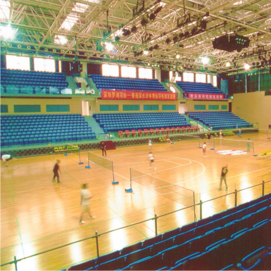 Gymnasium Lighting